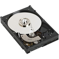 Dysk 1TB 7.2K SATA 6Gbps 3.5 Non Hot-Plug